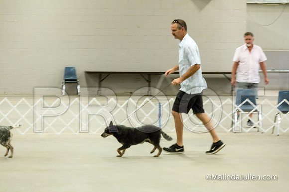 Stud Dog Wed-JJJ_3519-HR3