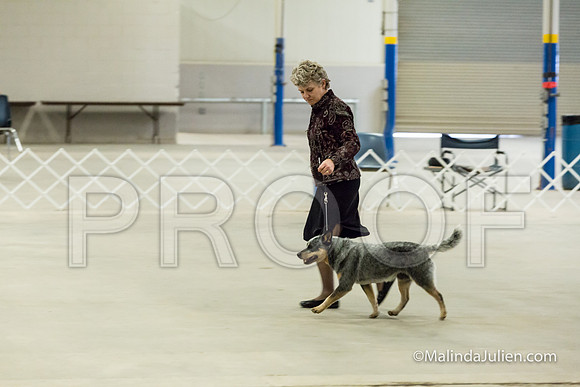 Stud Dog Wed-JJJ_3526-HR3