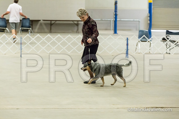 Stud Dog Wed-JJJ_3528-HR3