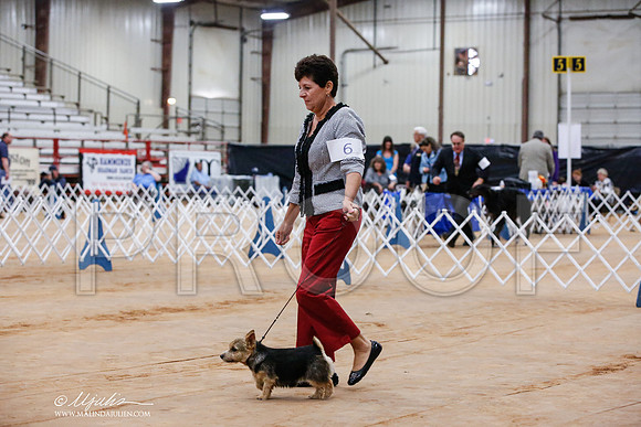 _JJ_6343-TxArJun2014-HR3