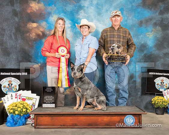 ACD #306C Thur RHIT Cattle Trusty Louanne Brooks Ludwig Judge Terry Kenney-SSR_2567-HR3