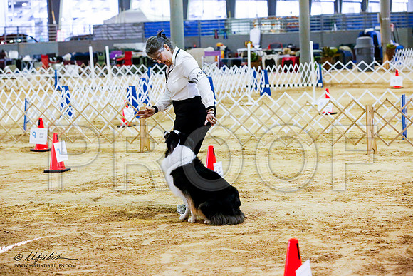 _JJ_4253-ASCACollegeStationNov2014-HR3