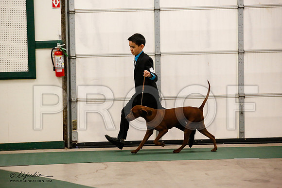 _JN_0697-NrmnNov2014-HR3