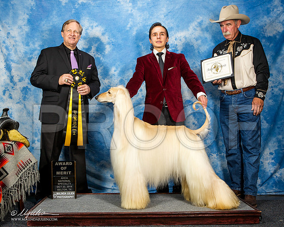 _ST_4574-AfgBeltonOct2014-HR3