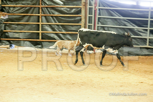 ACD #504C Thurs Herding Adv Rudy Larry-JJJ_5228-HR3