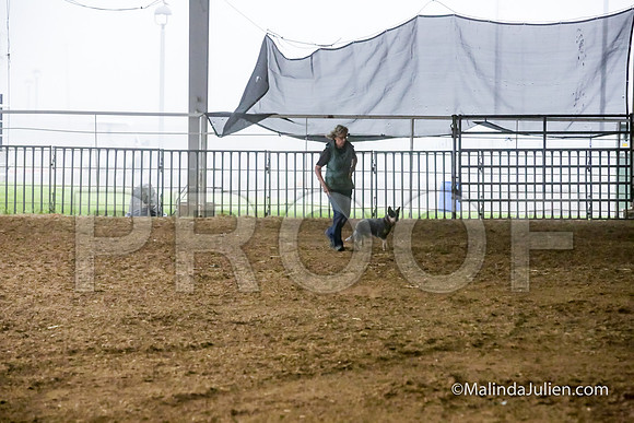 Herding PT Fri #203s Iris Cynthia Judge Sheryl McDonald-JJJ_5559-HR3