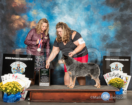 ACD #707 Wed AOM Sherri Swanton Vinson Judge Sherry McLennan-SSR_2360-HR3