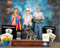 ACD #303s Fri Herding HIT Sheep Louanne Ludwig Trust