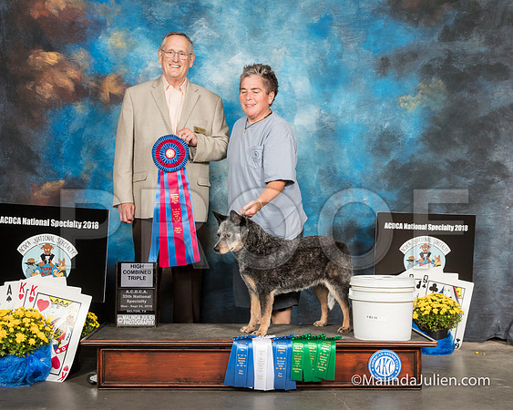 ACD #502 Mon RHC Triple Angelia Jennings Leigh Ann Yandle Perry Judge Robert Burgin-SSR_2135-HR3