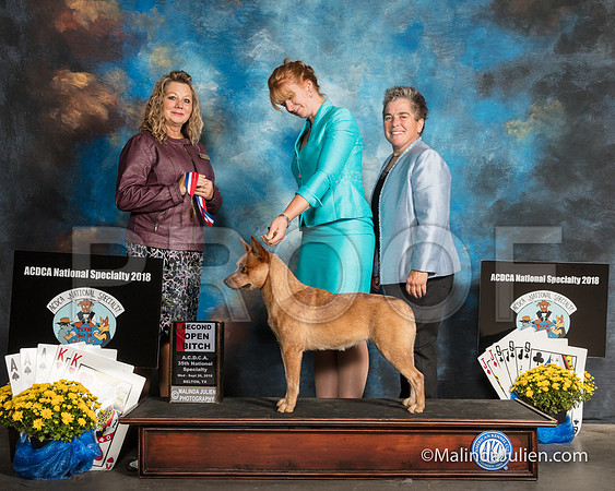 ACD #934 Wed AOM Angelia Jennings Cheryl Kurpas John Leigh Ann Yandle Judge Sherry McLennan-SSR_2388-HR3