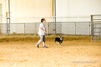 Herding Fri Sheep Started #311s Envy Angelia Judge Sheryl McDonald