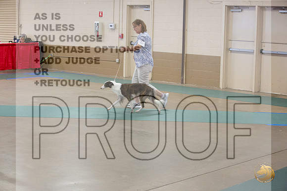 Silken Windhound #290 Ringside Sat_JJL_3808_LongviewTX_2024_HR3