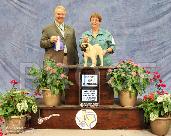 WPSun-1369LR