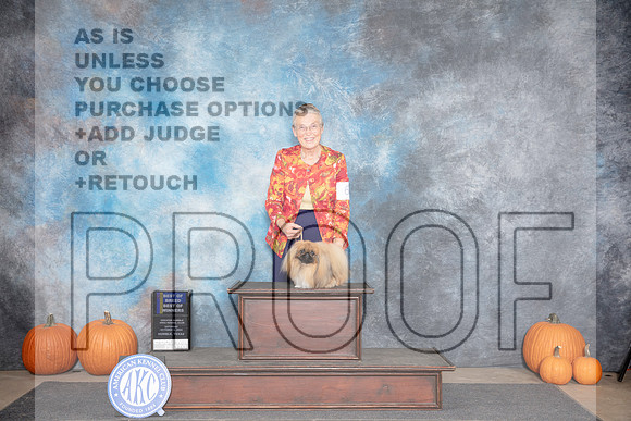 Pekingese #6 Sat BOBBOWWB Judge Ray Filburn__JP_8899_Humble_2024_HR3