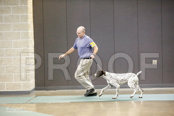 _RH_8932-BeltonJan2015-HR3