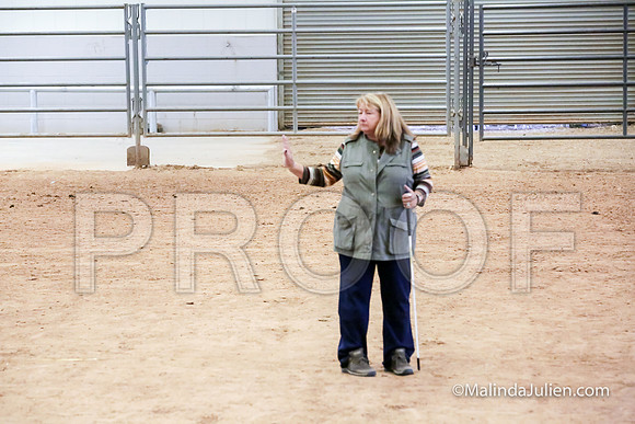 ACD #406C Thurs Herding Int Ellie Debra-JJJ_4777-HR3
