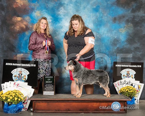 ACD #707 Wed AOM Sherri Swanton Vinson Judge Sherry McLennan-SSR_2361-HR3