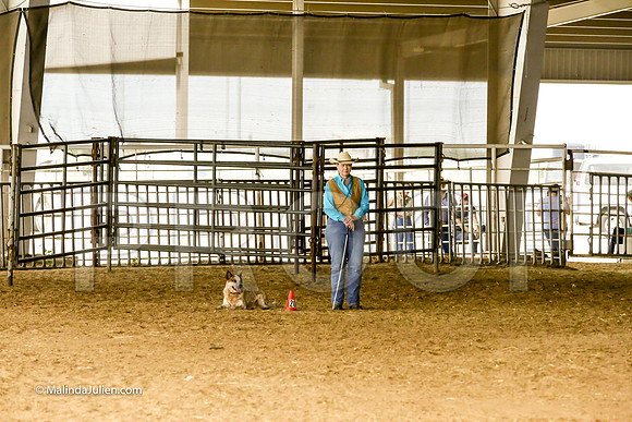 Herding #401s Fri Course A Int Sheep Kuper Diane Judge Sheryl McDonald-JJJ_6745-HR3