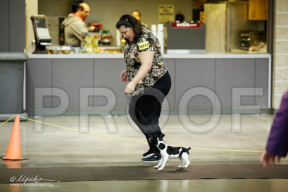 _JJ_5983-BeltonJan2015IABCA-HR3