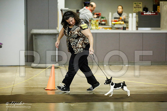 _JJ_5986-BeltonJan2015IABCA-HR3