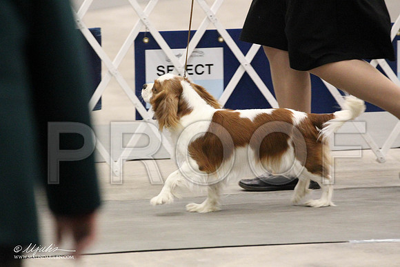 IMG_7648-Abilene2011-HR3