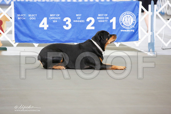 _JN_8253-DallasJul2014-HR3