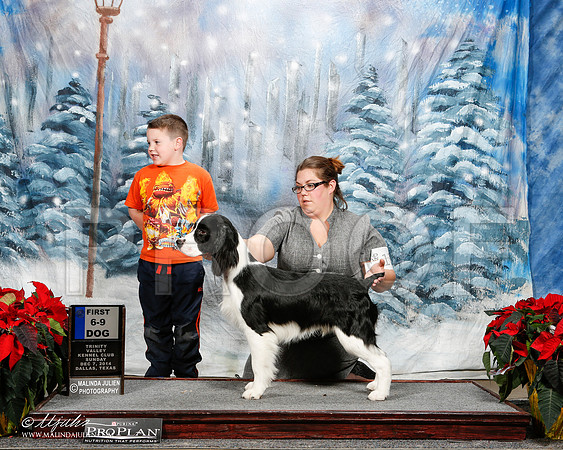 _ST_9428-2-DallasDec2014-HR3