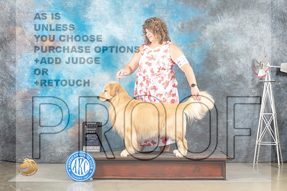Golden Retriever #11 Sun OHG1 Judge Eric Liebes_MJ_5250_Amarillo_2022_HR3