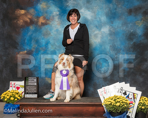 Australian Shepherd Kymberlie Schellin River-SSR_1799-ACDCA2018-HR3