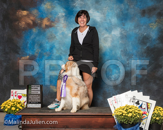 Australian Shepherd Kymberlie Schellin River-SSR_1801-ACDCA2018-HR3