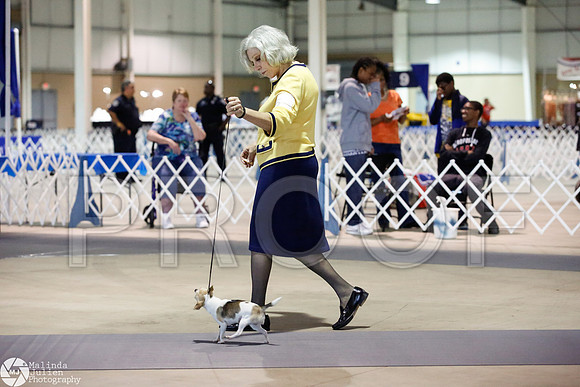 _JJ_2732-SanAntonioJul2014-HR
