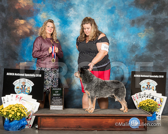 ACD #707 Wed AOM Sherri Swanton Vinson Judge Sherry McLennan-SSR_2363-HR3