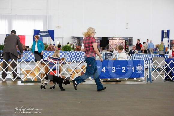 _JN_8558-DallasJul2014-HR3