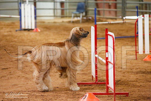 _JJ_5717-AfgBeltonOct2014-HR3