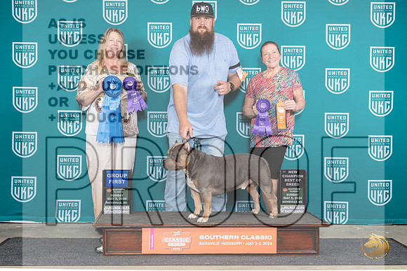 American Bully #704 Sun G2CH Perdue Camp__JP_6682_BatesvilleMS_2024_HR3