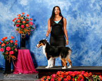 Australian Shepherd Sagirah Unit Sat Custom
