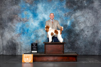 Poodle Std MC #110 Sun BOW Judge Terri Rein