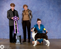 English Springer Spaniel Sat BIS Pup Paige Farr