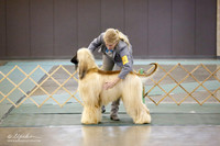Sighthound Group Sat
