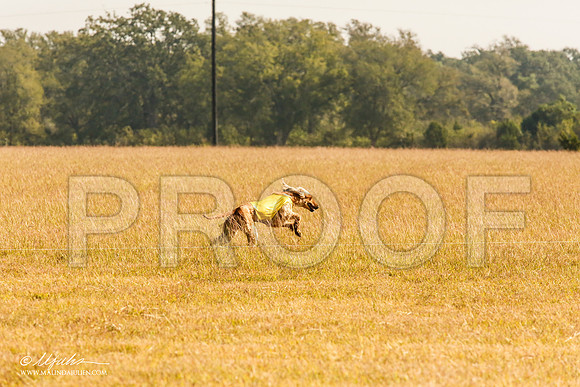 _MJ_4004-AfgBeltonOct2014-HR3