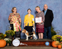 Beagle 13 #J600 Fri Best Jr Zoe Prado Judge Andrea Bradford MD