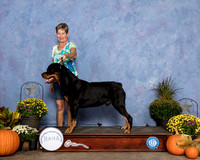 Rottweiler Fri TEST