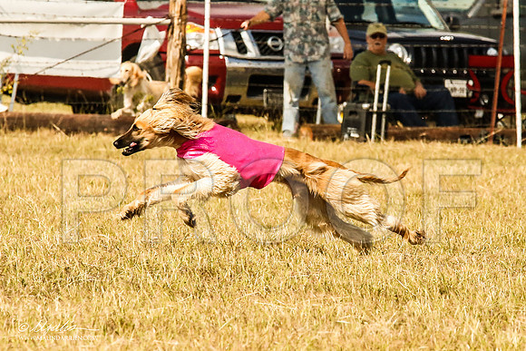 _MJ_4667-AfgBeltonOct2014-HR3