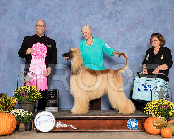 Afghan Hound #11 Fri OHG1 Judge Garry Newton_SSR_3148_Humble2018_HR3