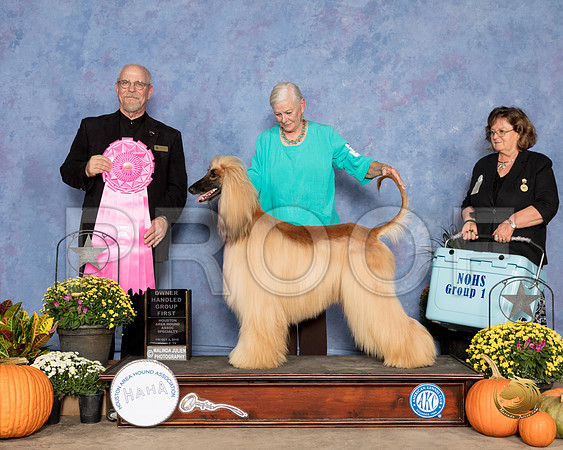 Afghan Hound #11 Fri OHG1 Judge Garry Newton_SSR_3150_Humble2018_HR3