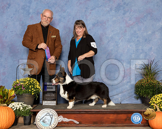 Cardigan Welsh Corgi #7 Sat WD Judge Garry Newton_SSR_3209_Humble2018_HR3