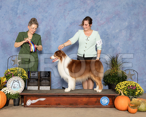 Australian Shepherd #15 Sat BOB OHBOB Judge Beth Latchnit_SSR_3230_Humble2018_HR3
