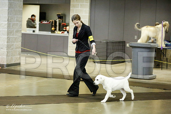_RH_1108-BeltonJan2015IABCA-HR3