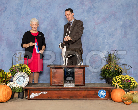 Boston Terrier #10 Sat BOW Maj Judge Eva Berg_SSR_3298_Humble2018_HR3