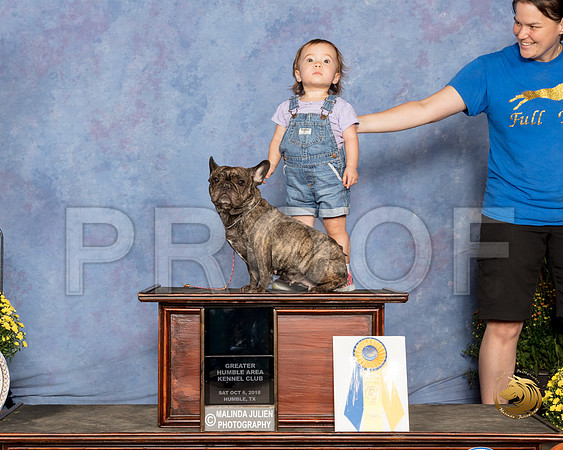 French Bulldog #Dylan Pee Wee Sat_SSR_3313_Humble2018_HR3